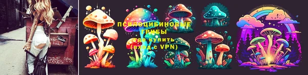 винт Осташков