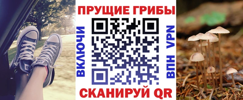 Галлюциногенные грибы Magic Shrooms  Владимир 