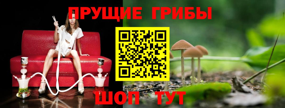 Галлюциногенные грибы GOLDEN TEACHER  Вход с VPN  Владимир 